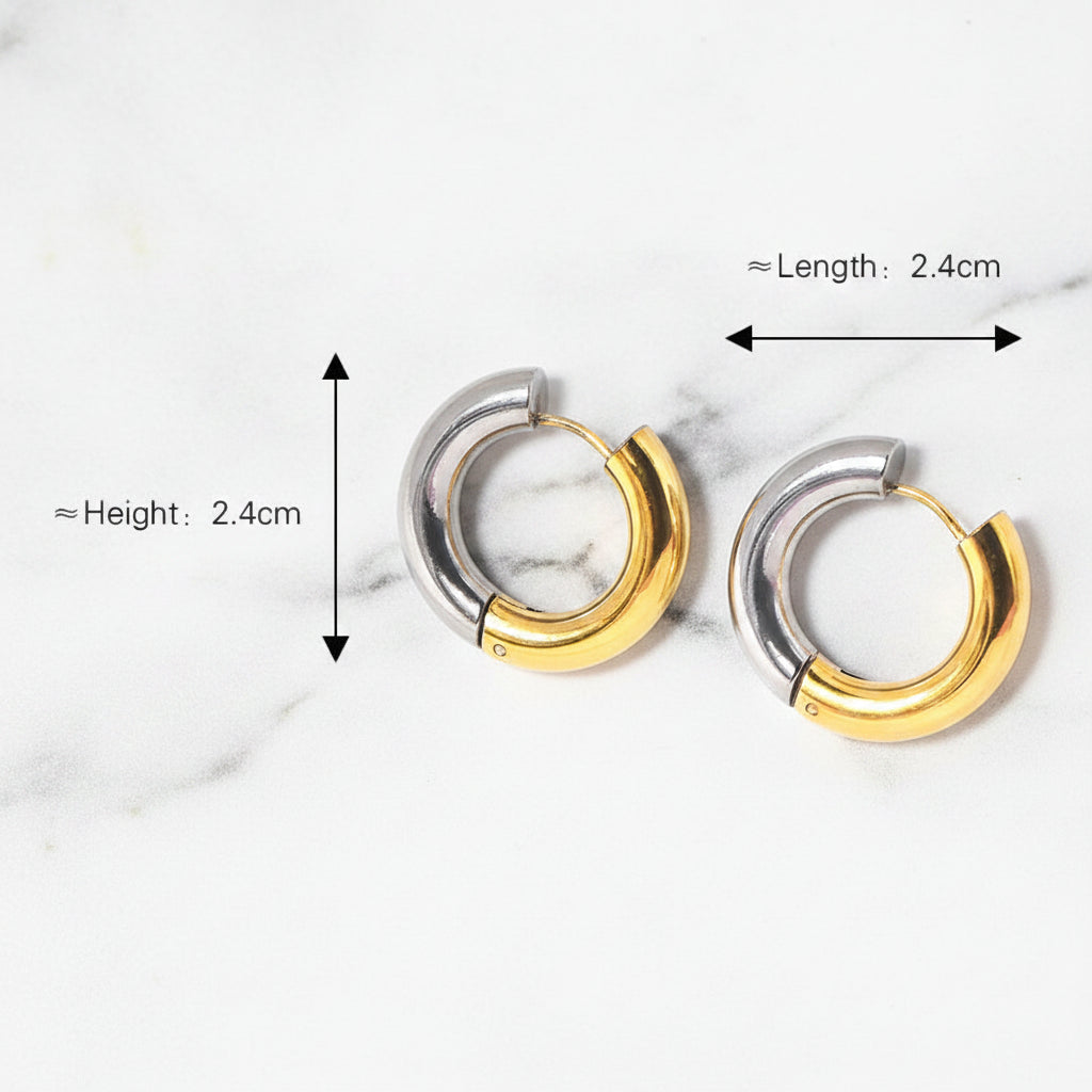 Gold/Silver Hoop Earrings