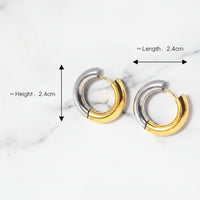 Gold/Silver Hoop Earrings