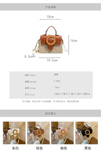 Mini Straw Box Handbag