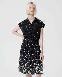 Polka Dot Dress
