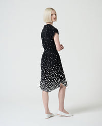 Polka Dot Dress