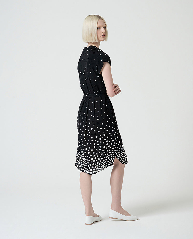 Polka Dot Dress