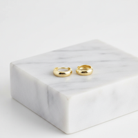Elegant Hoop Earrings
