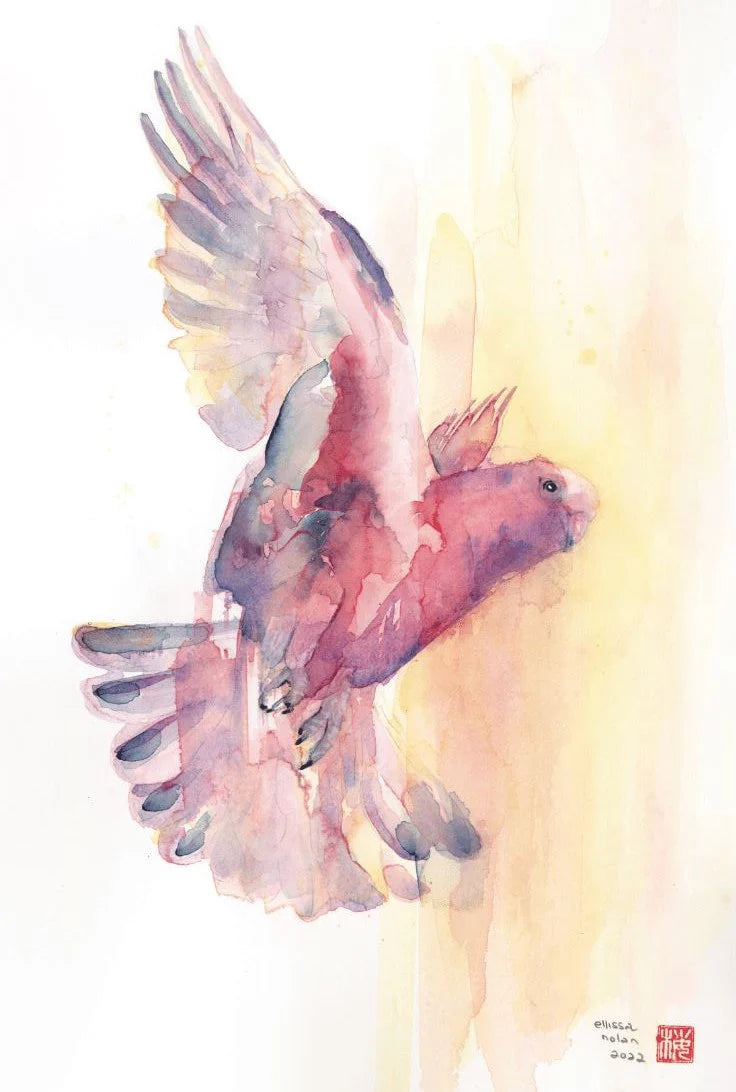 Ellissa Nolan Birds of the Blue Mountains Scarf