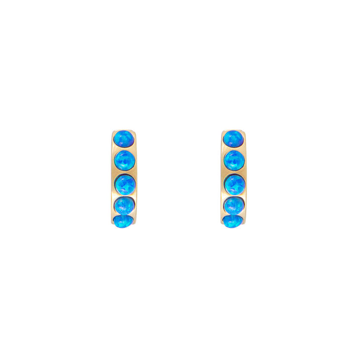 Indigo Opal Crystal Earrings