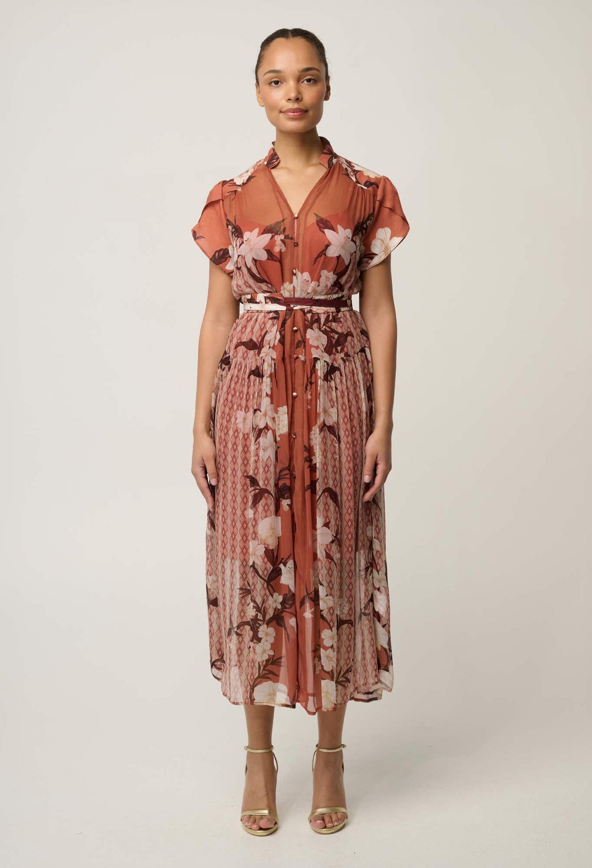 OnceWas Perla sheer viscose print dress in Amber Vine, front view
