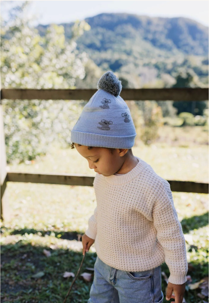Acorn - Koala Merino Beanie - Blue & Grey