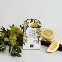 Bell Art Aroma Bloq Lemon Scented Gum packaging