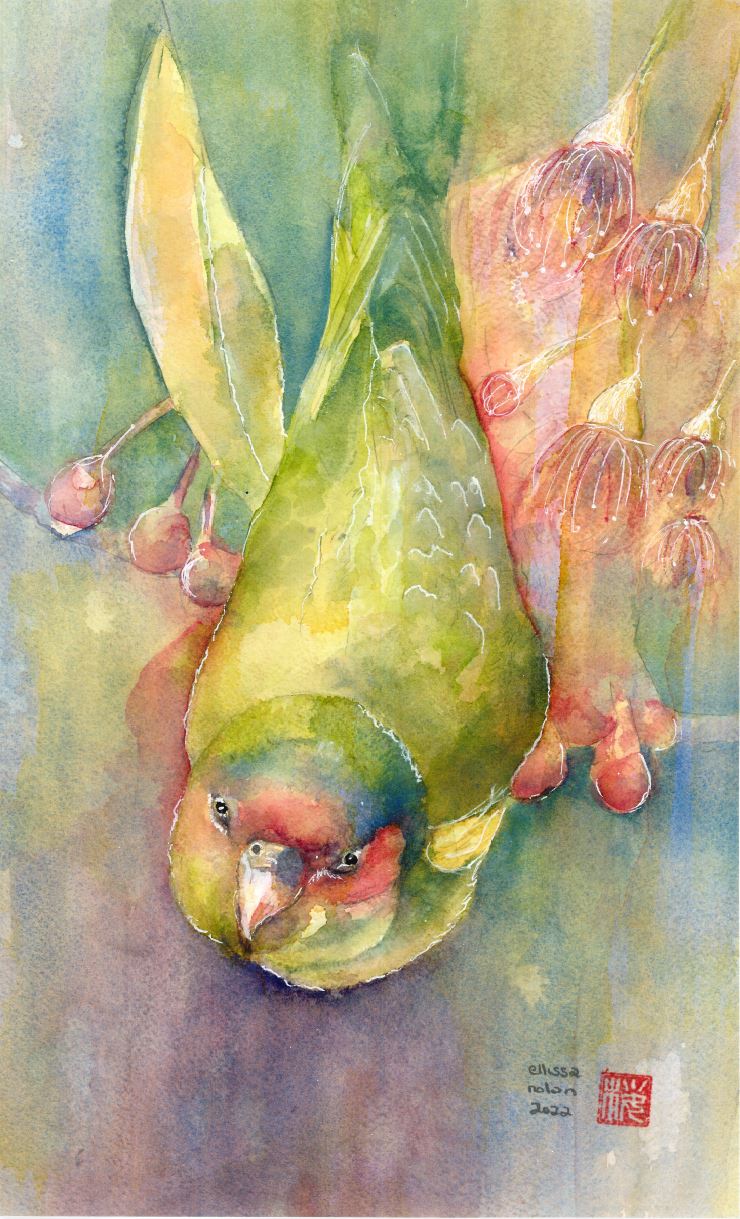 Ellissa Nolan Birds of the Blue Mountains Scarf