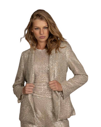 Sequin Tuxedo Jacket